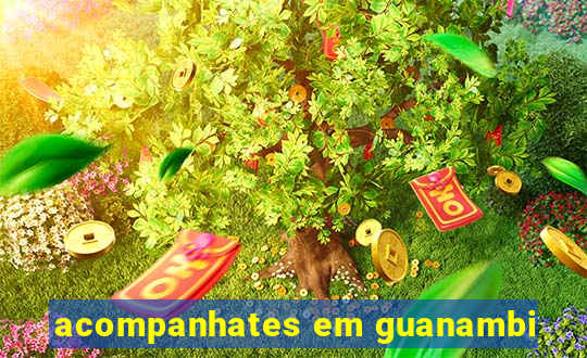 acompanhates em guanambi